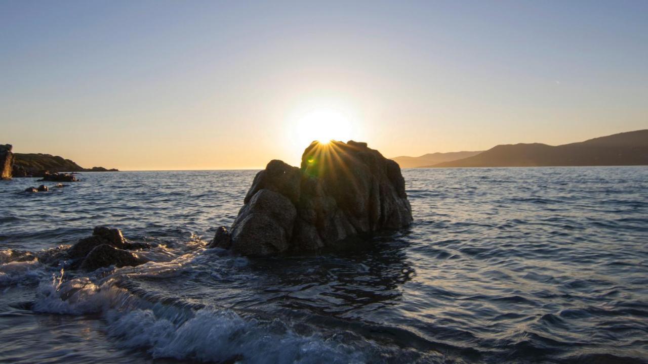 Propriano Proche Port Et Mer Propriano (Corsica) Room photo